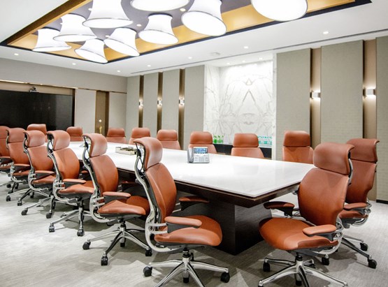 Amalthea Meeting Room